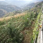 Deluxe Panorama 61 * Τραμπζόν