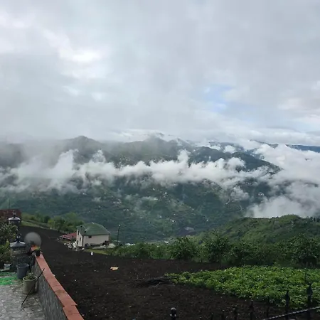 Deluxe Panorama 61 Villa Trabzon