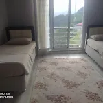 Deluxe Panorama 61