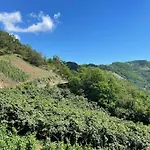 Deluxe Panorama 61 * 트라존