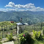 Deluxe Panorama 61 *