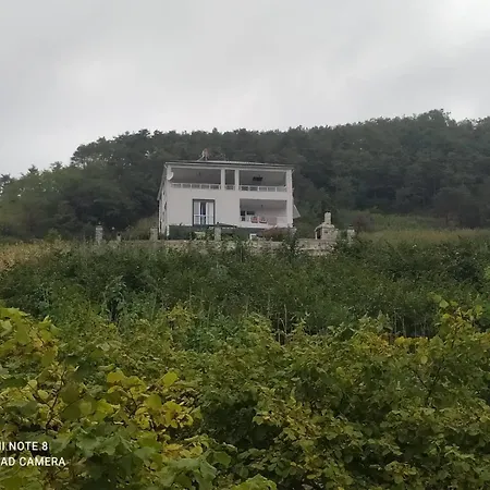 Deluxe Panorama 61 트라존