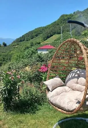 Deluxe Panorama 61 * Trabzon