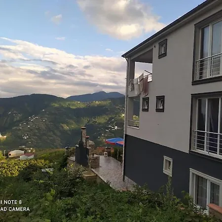 Deluxe Panorama 61 Villa