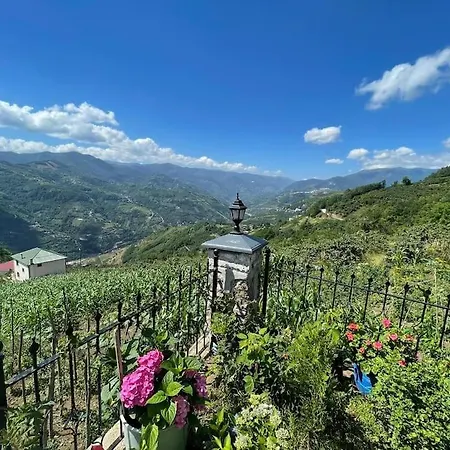Deluxe Panorama 61 Villa Trabzon